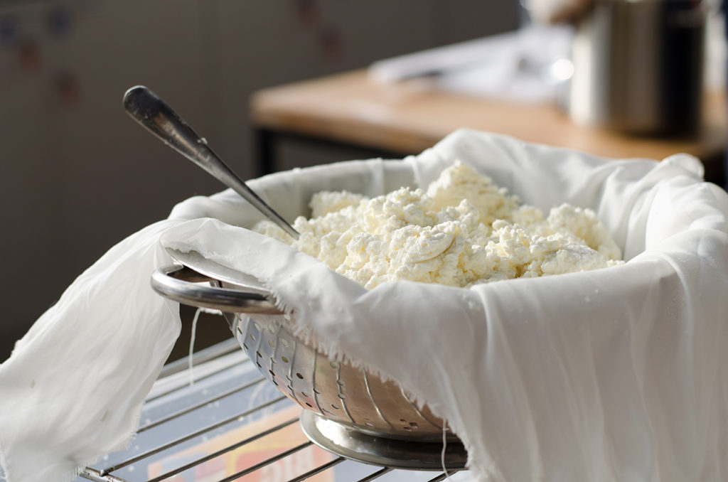 Homemade cheese
