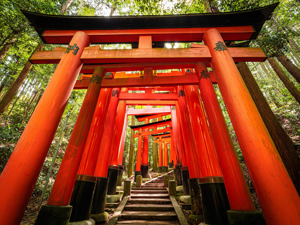 Dramatic view of red gates "Torii", Fushimi Inari Taisha Shrine.